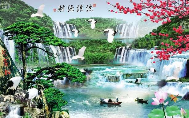 梦想的后院